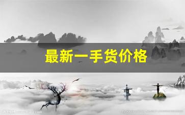 最新一手货价格