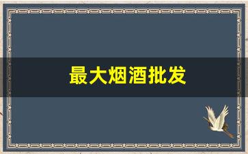 最大烟酒批发