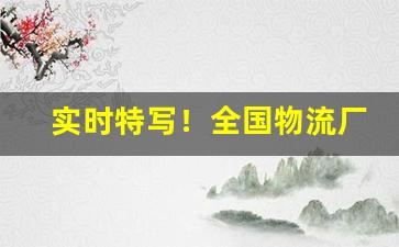 实时特写！全国物流厂家发货“别有滋味”