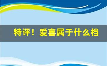 特评！爱喜属于什么档次“恩威并用”