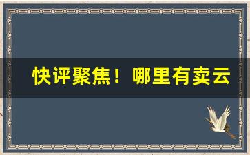 快评聚焦！哪里有卖云霄货的烟“二话不说”