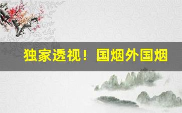 独家透视！国烟外国烟厂家香烟批发价!“仓皇不定”