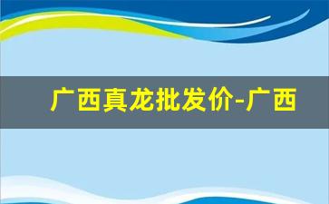 广西真龙批发价-广西真龙批发渠道