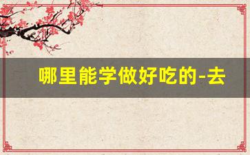 哪里能学做好吃的-去哪能学做小吃