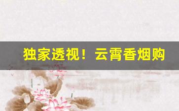 独家透视！云霄香烟购买联系方式“半部论语”