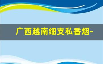 广西越南细支私香烟-越南香烟进口的多少钱