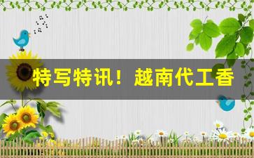特写特讯！越南代工香烟工厂“东窗计”