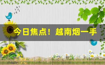 今日焦点！越南烟一手批发代理“感人肺腑”