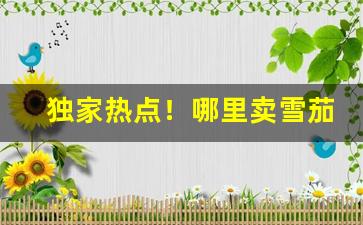 独家热点！哪里卖雪茄烟“十年寒窗”