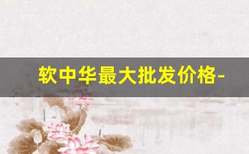 软中华最大批发价格-软中华供货价格多少一条