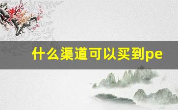 什么渠道可以买到peel-peel国内能买到吗